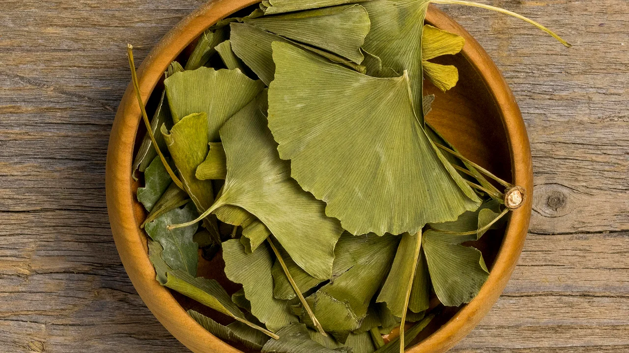 Suplemento de ginkgo biloba em cápsulas